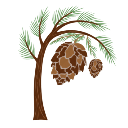 The Pine Paradise Hotel