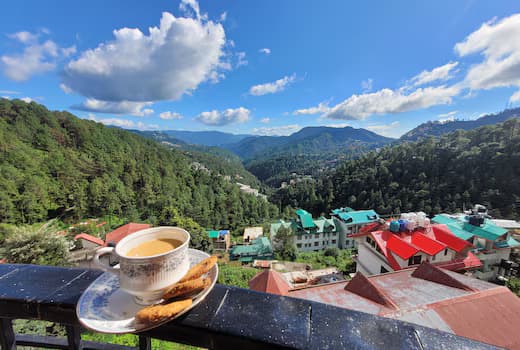 5 Hidden Trails in Kasauli for Nature Lovers